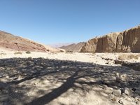 IMG_20260309_142953.jpg