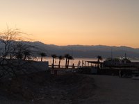 IMG_20260308_054221.jpg