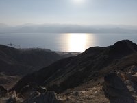 IMG_20260308_072425.jpg