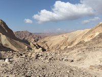 IMG_20260308_082436.jpg