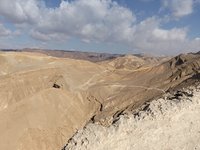 IMG_20260308_084653.jpg