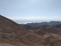 IMG_20260308_084723.jpg