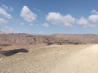 IMG_20260308_092951.jpg