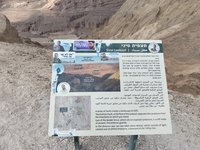 IMG_20260308_094655.jpg