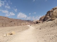 IMG_20260308_100527.jpg