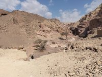 IMG_20260308_100810.jpg