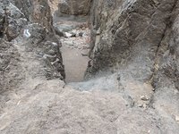 IMG_20260308_112255.jpg