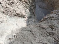 IMG_20260308_130601.jpg