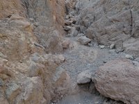 IMG_20260308_143438.jpg