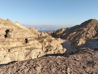 IMG_20260308_161653.jpg