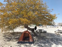 IMG_20260410_105345.jpg