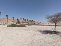 IMG_20260410_105359.jpg