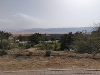 IMG_20260318_083536.jpg