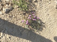 IMG_20260413_074546.jpg