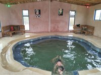 IMG_20260325_124709.jpg