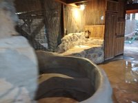 IMG_20260325_171833.jpg