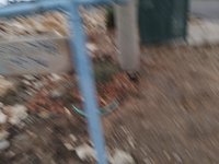 IMG_20260325_172528.jpg